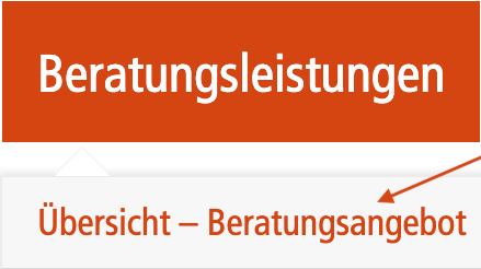 Screenshot des Menüpunkts "Beratungsleistungen", Untermenüpunkt "Übersicht – Beratungsangebot"