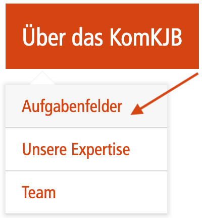 Screenshot des Menüpunkts "Über das KomKJB", Untermenüpunkt "Aufgabenfelder"