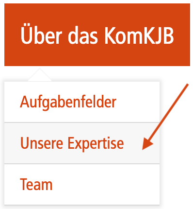 Screenshot des Menüpunkts "Über das KomKJB", Untermenüpunkt "Unsere Expertise"