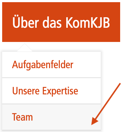 Screenshot des Menüpunkts "Über das KomKJB", Untermenüpunkt "Team"